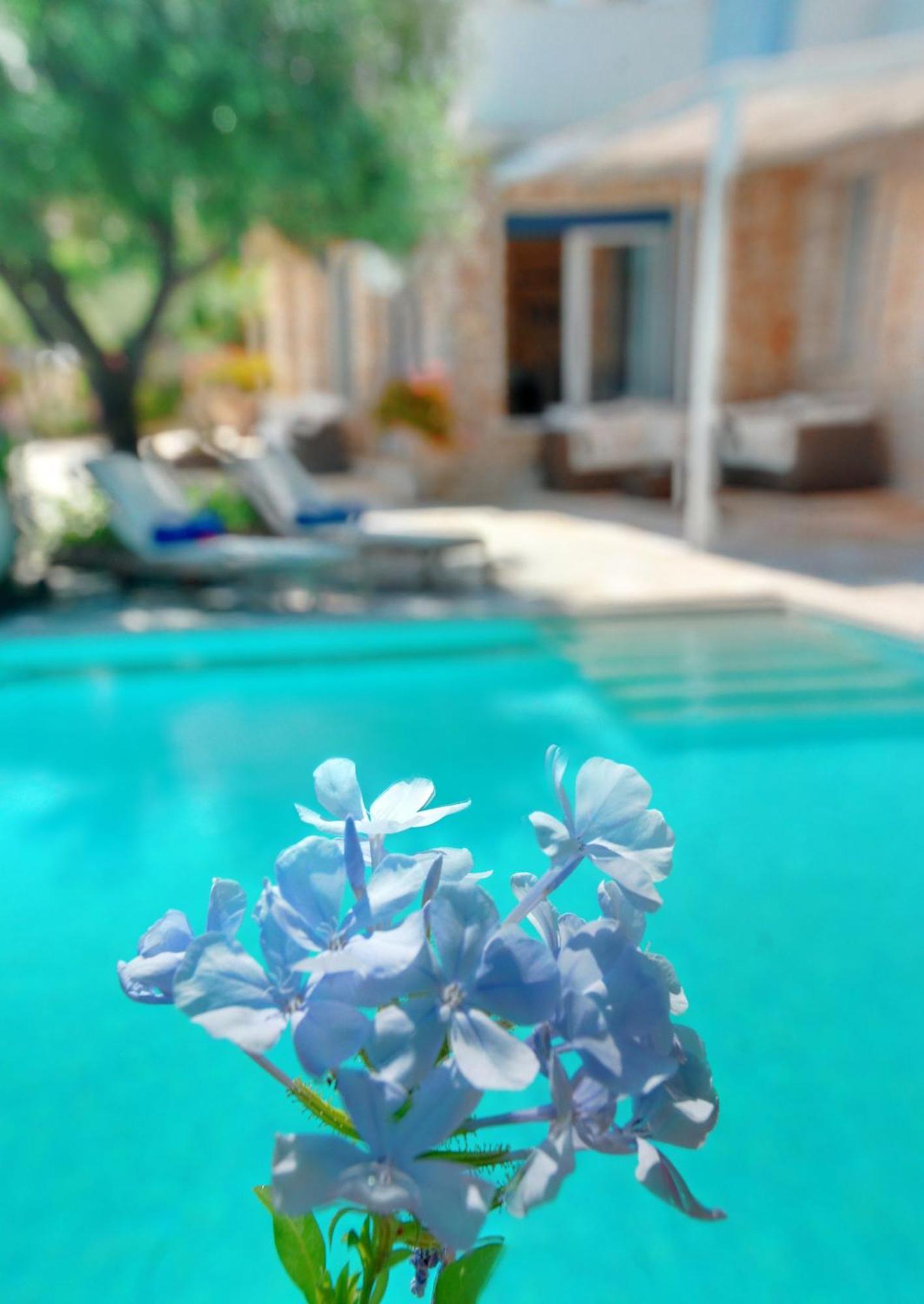 Corfu Luxury Villas Barbati Oda fotoğraf